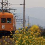 大雄山線検査出場によるコデ165牽引の列車輸送